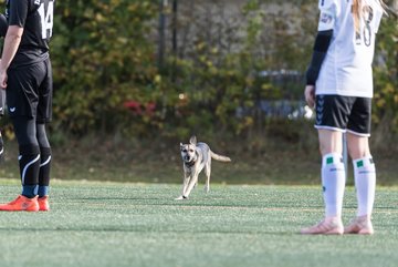 Bild 45 - Frauen SV Henstedt Ulzburg III - TSV Wiemersdorf : Ergebnis: 2:1